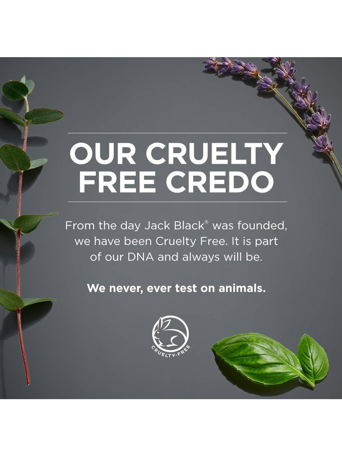 Text on a gray background reads, "Our Cruelty Free Credo," stating Jack Black Body and Hair Cleanser is cruelty free and never tested on animals. Surrounded by greenery, flowers, and a cruelty-free symbol, it highlights natural ingredients.