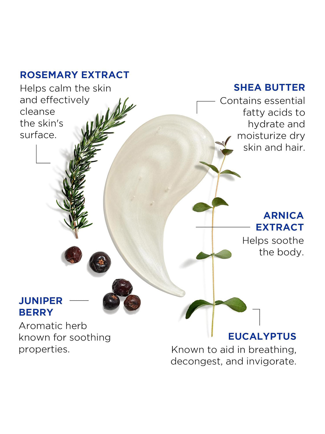 Jack Black Body and Hair Cleanser features a creamy formula with rosemary, eucalyptus, juniper berries, shea butter, and arnica extract for moisturizing and refreshing benefits.