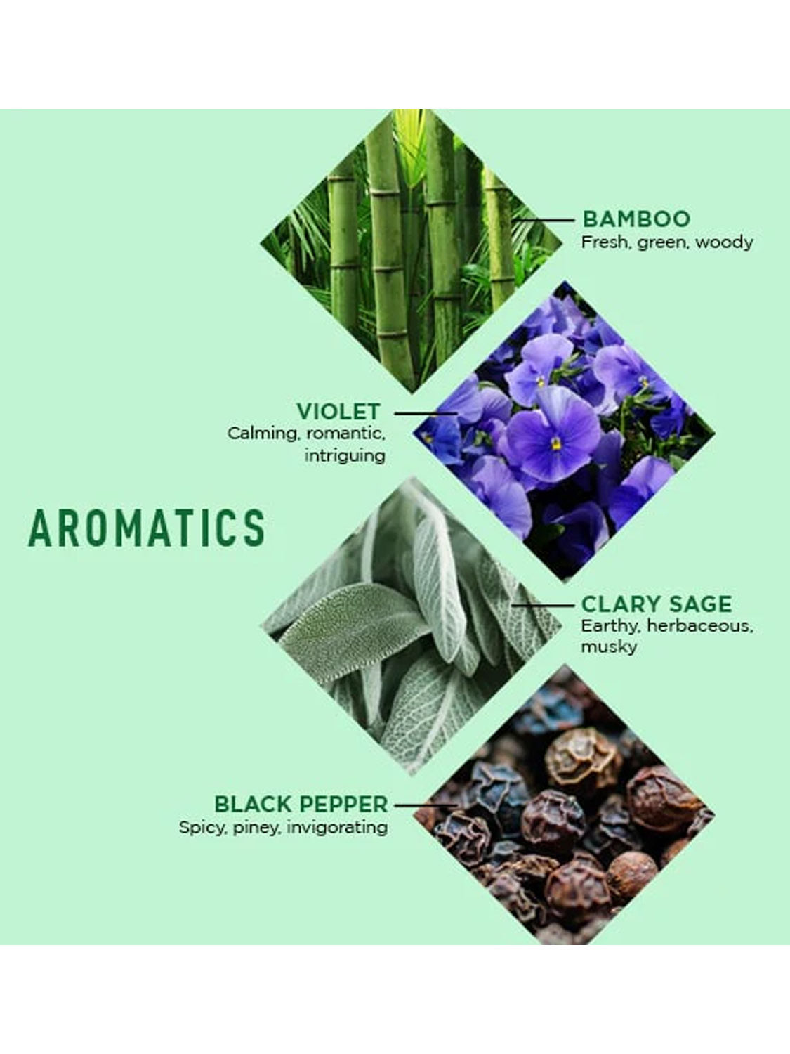 Four diamond-shaped images show bamboo, violet flowers, clary sage leaves, and black pepper—key ingredients in Jack Black’s JackZen™ Renewing Body Lotion, a nourishing moisturizer with fresh, earthy, calming, and spicy aromas.