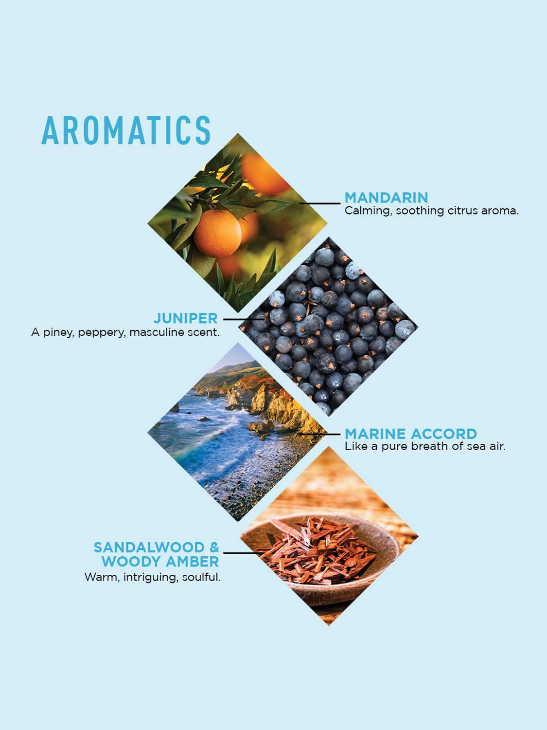 Four diamond-shaped images with text showcase aromatics in Jack Black's Body and Hair Cleanser: mandarin (citrus), juniper (peppery pine), marine accord (sea air), and sandalwood & amber (warm). Blue background. Perfect for daily cleansing.