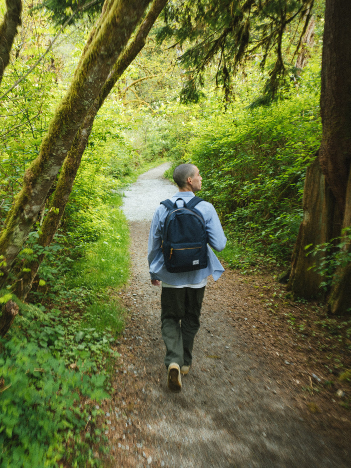 A person carrying a Herschel Settlement Backpack walks alone on a forest trail, surrounded by lush green trees and foliage.
