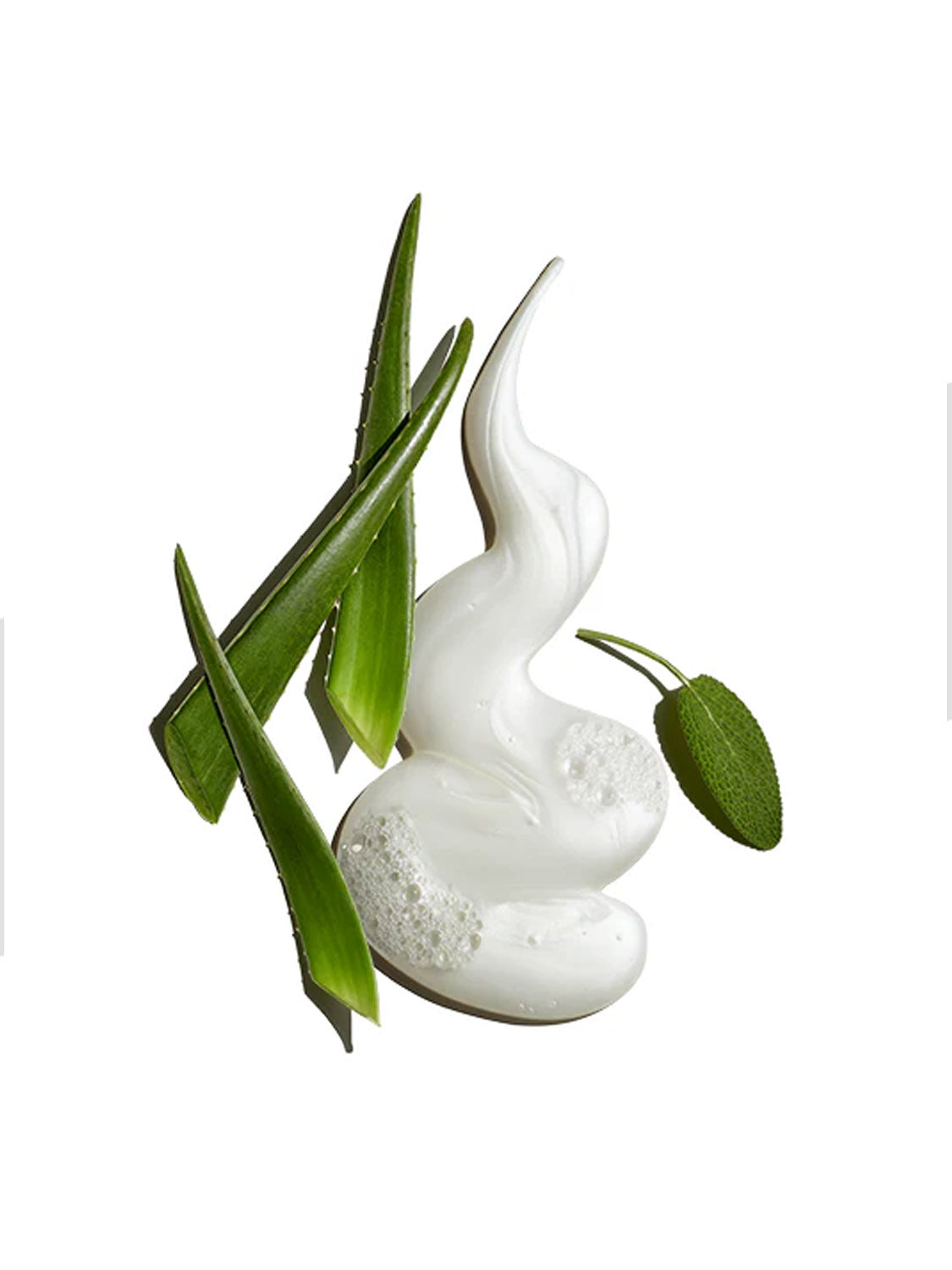A swirl of white foamy Pure Clean Daily Facial Cleanser 6 oz by Jack Black sits among fresh green aloe vera leaves and a sage leaf, highlighting its skin-refreshing formula on a clean white background.