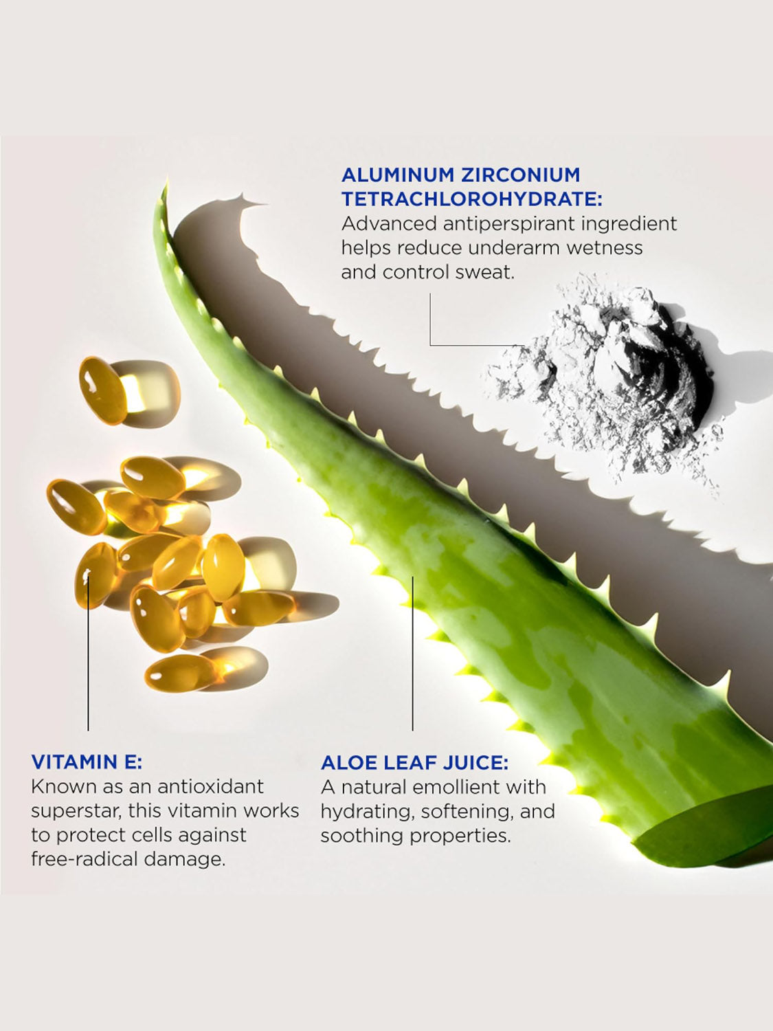 A flat lay shows aloe leaf, vitamin E capsules, and white powder—all labeled with their skin benefits—featured in Jack Black’s Original Pit Boss® Antiperspirant & Deodorant for odor protection, antioxidant care, and soothing moisture.