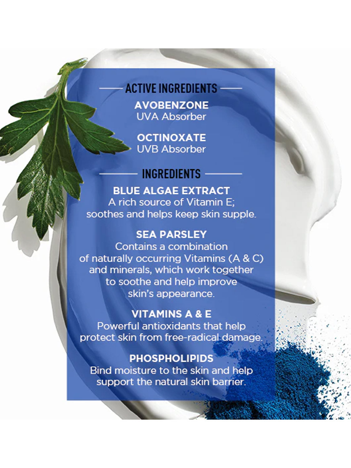 An infographic showcases Jack Black’s Double Duty Face Moisturizer SPF 20 with avobenzone, octinoxate, blue algae extract, sea parsley, vitamins A & E, and phospholipids beside blue/white creams and parsley.