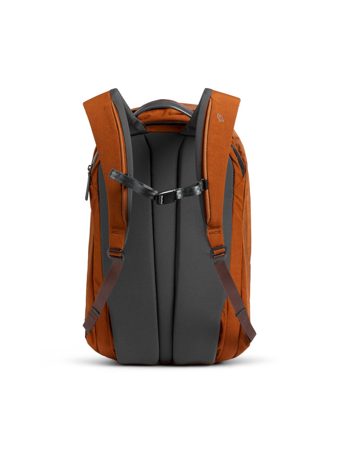 The Bellroy Classic Backpack Plus - 24L in burnt orange is shown from the back, featuring padded gray shoulder straps, a chest strap, cushioned back panels, and water-resistant recycled fabric for comfort and sustainability.