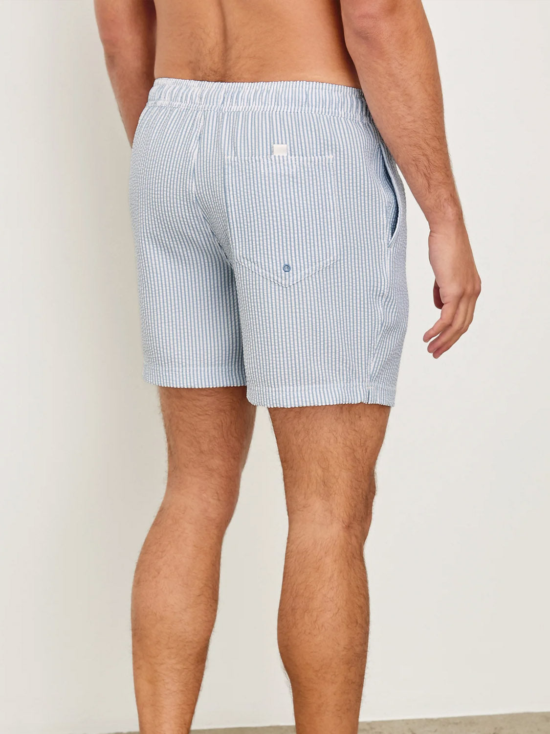 A man faces away, wearing the Rails La Brea Swim Short—light blue and white striped polyester seersucker with an elastic waistband, adjustable drawstring, and buttoned back pocket—against a plain, neutral background.