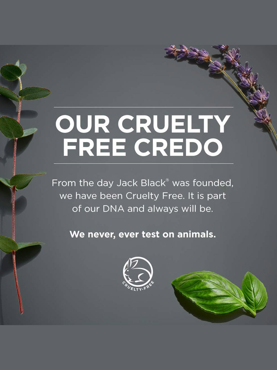 A graphic with green leaves and lavender frames the text: Our Cruelty Free Credo. From day one, Jack Black has been Cruelty Free. Supreme Cream Triple Cushion® Shave Lather never tested on animals and helps reduce razor burn for a hydrating shave.