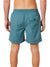 A man is shown from the back, wearing Katin Poolside Volley shorts by Katin, featuring an elastic waistband and a buttoned back pocket. His upper body is bare.
