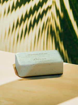 Baxter - Exfoliating body bar